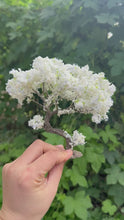 Load and play video in Gallery viewer, 8/10/15cm Miniature White Cherry Blossom Wire Tree Model for DIY Diorama, Fairy Garden, Dollhouse, Scenery, Landscape Craft Supplies

