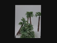 Load and play video in Gallery viewer, 10 pcs Miniature Big Leaf Palm Coconut Tree Models Ho Scale 1:87 Train Railway Accessories DIY Landscape Terrarium Diorama Craft Supplies

