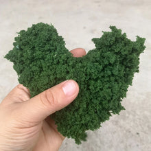 Load image into Gallery viewer, 10/14/18/22/28cm Miniature Wire Tree Trunk Model Tree Powder DIY Scenery Dollhouse Fairy Garden Landscape Terrarium Diorama Craft Supplies
