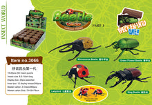 Load image into Gallery viewer, Set of 4 Beetle Insect Part I 4D 3D Animal Puzzle Realistic Model DIY Educational Toy
