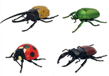 Load image into Gallery viewer, Set of 4 Beetle Insect Part I 4D 3D Animal Puzzle Realistic Model DIY Educational Toy
