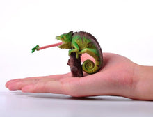 Load image into Gallery viewer, Set of 4 Reptile Animal Part I 4D 3D Puzzle Egg Model Toy Chameleon Tortoise King Cobra
