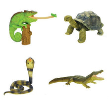 Load image into Gallery viewer, Set of 4 Reptile Animal Part I 4D 3D Puzzle Egg Model Toy Chameleon Tortoise King Cobra
