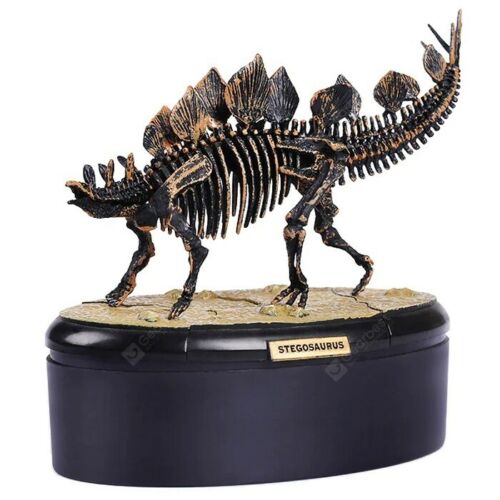 Scheletro Di Carnotaurus O Tyrannosaurus Dinosauro Con Ossa. Teropode Di Dino Predatore Carnivoro Isolato Teropodi Carnivori Isolati Image270645963 Scheletro Di Carnotaurus O Tyrannosaurus Dinosauro Con Ossa. Teropode Di Dino Predatore Carnivoro Isolato Teropodi Carnivori Isolati Image270645963